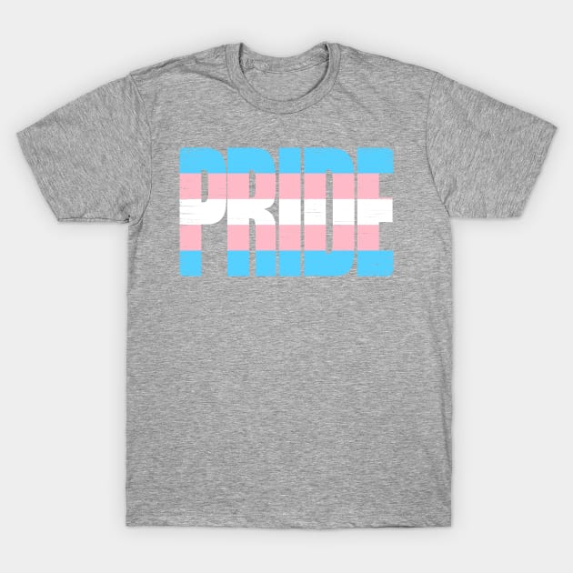 Transgender Pride T-Shirt by ianscott76
